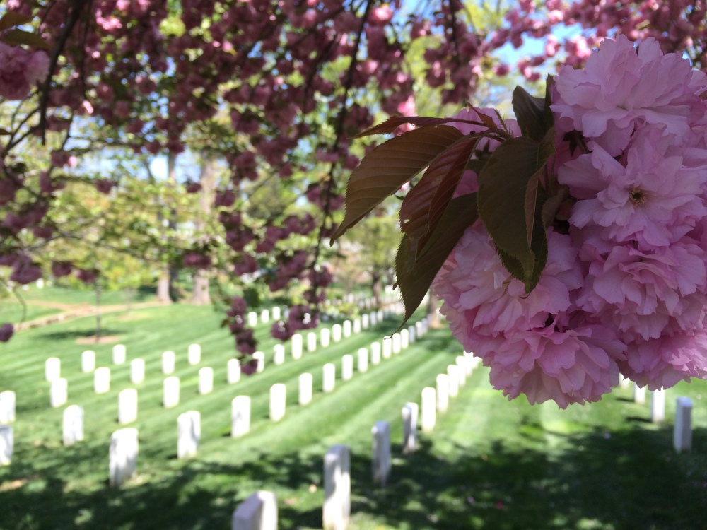 Washington D.C., Arlington Cemetery